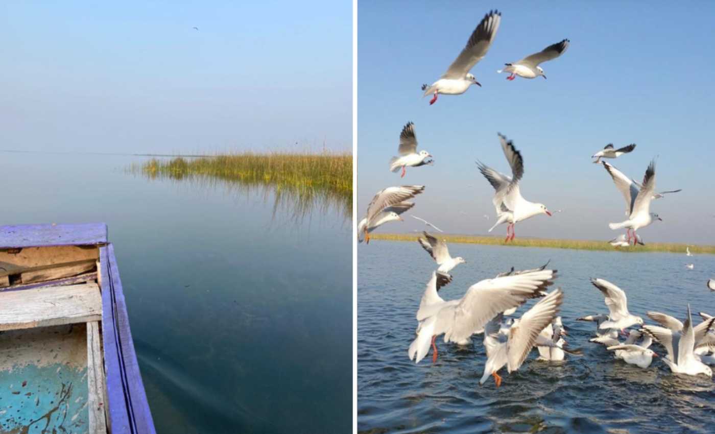 Nal Sarovar Bird Sanctuary