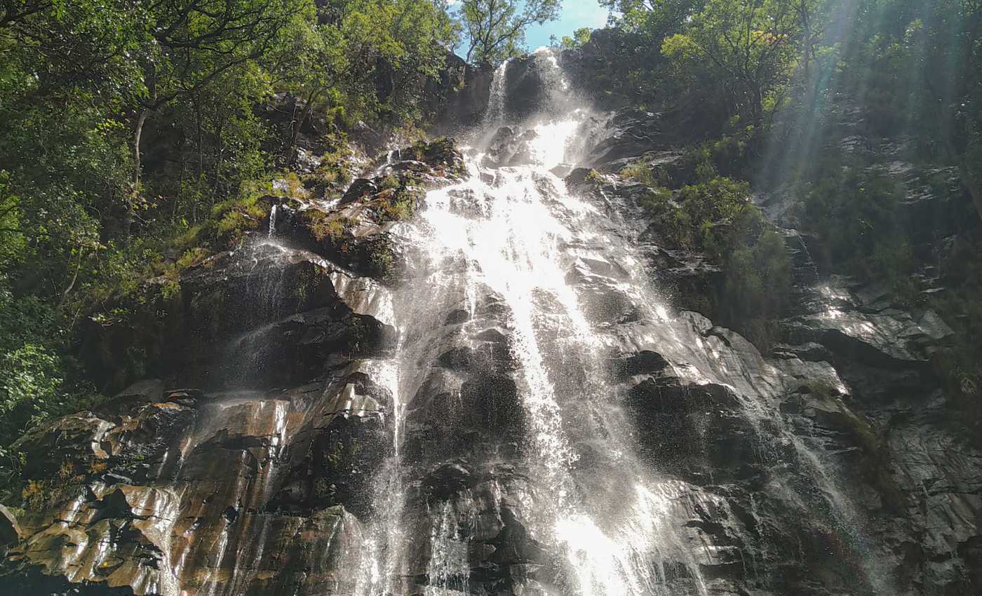 BEE FALL OF PACHMARHI