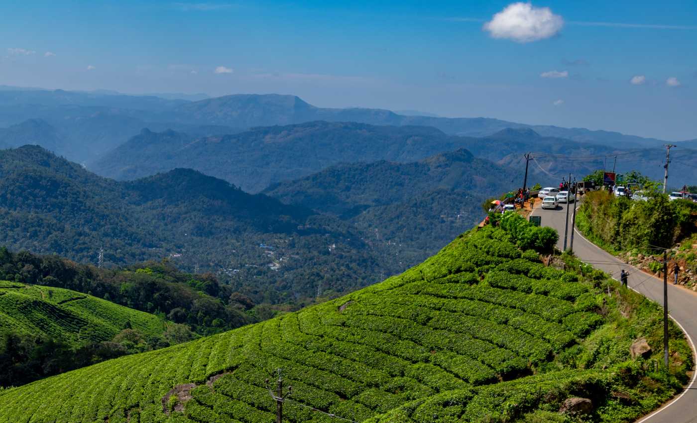 Munnar Tea Gardens