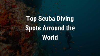 scuba diving spots