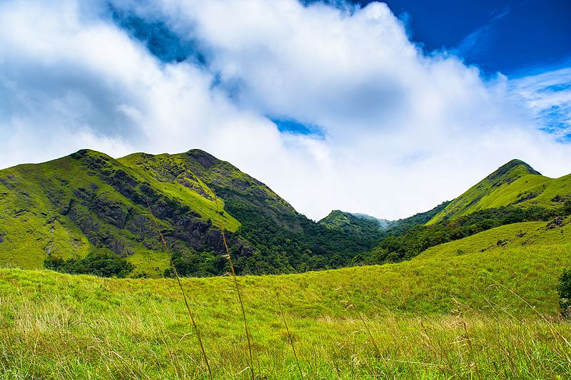 wayanad kerala