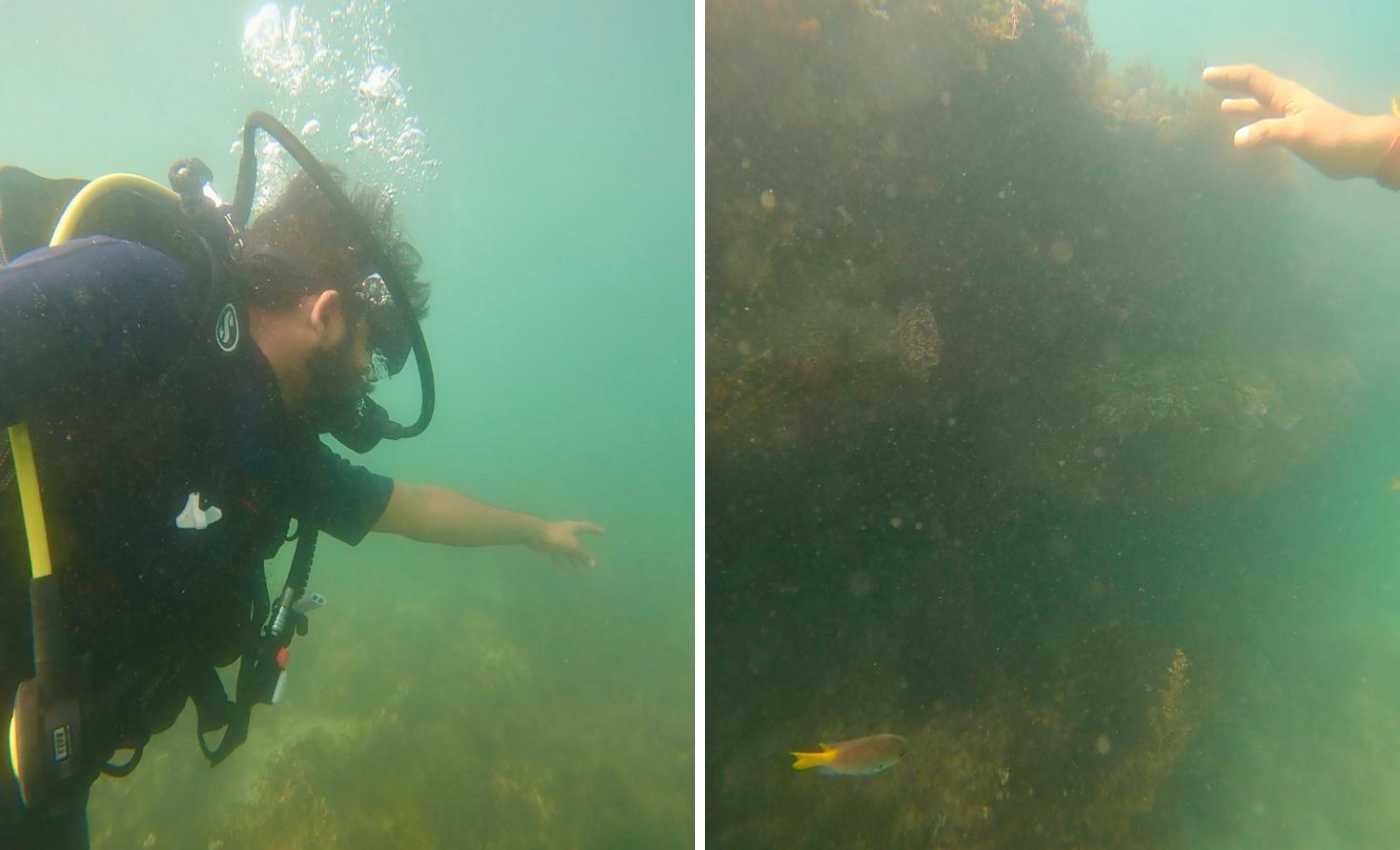 Scuba at shivrajpur Beach