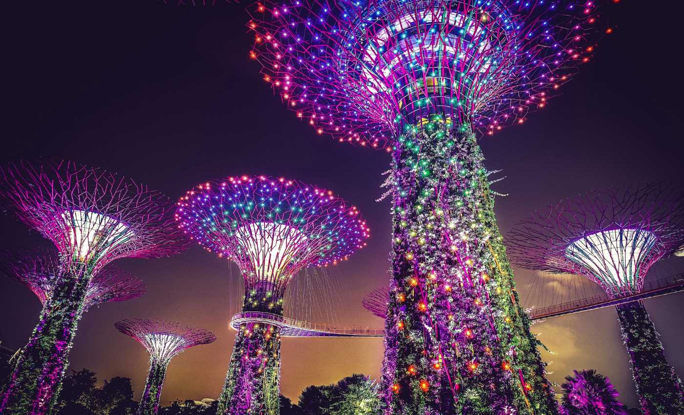 Gardens By The Bay At Night