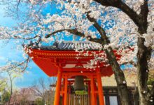 Japanese Temple at Spring