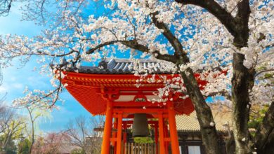 Japanese Temple at Spring