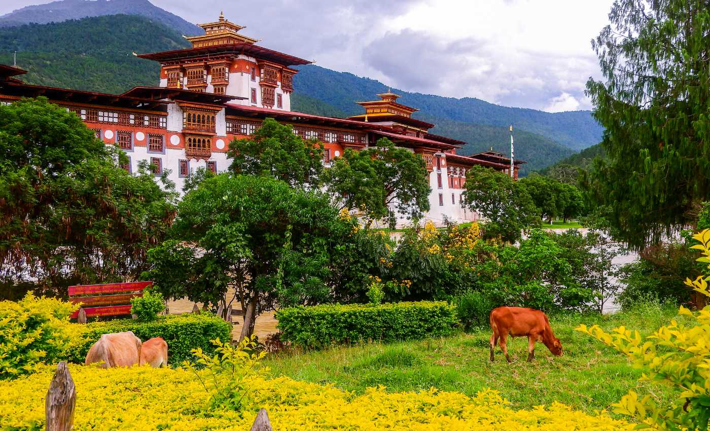 Punakha Dzong (Pungthang Dewa chhenbi Phodrang)