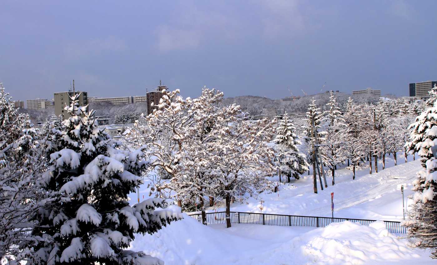 Sapporo Park Snow Scene