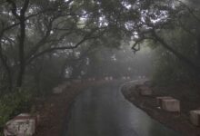 Monsoon Road Trips in India