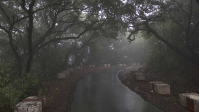 Monsoon Road Trips in India