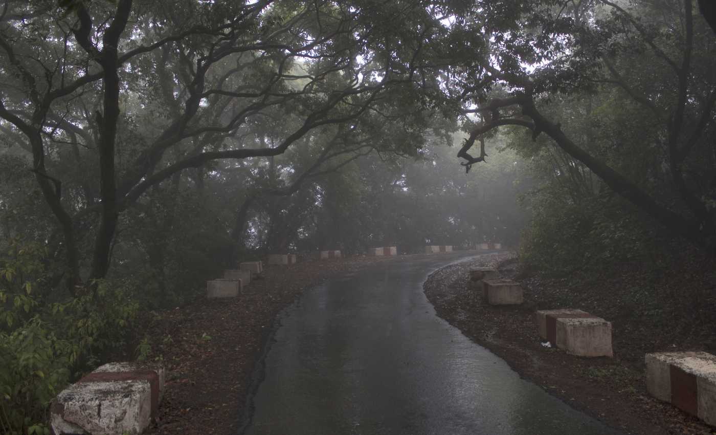 Monsoon Road Trips in India