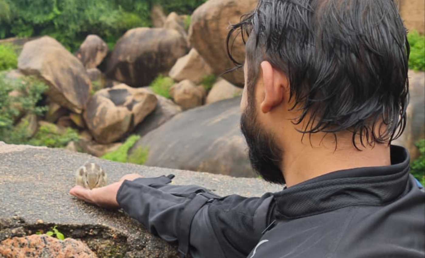 squirrel hand feeding at idar gadh