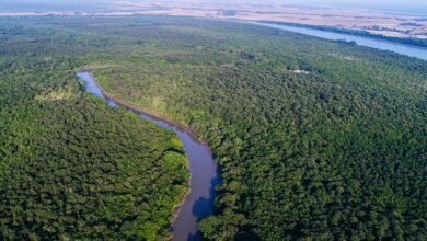 bhitarkanika national park odisha