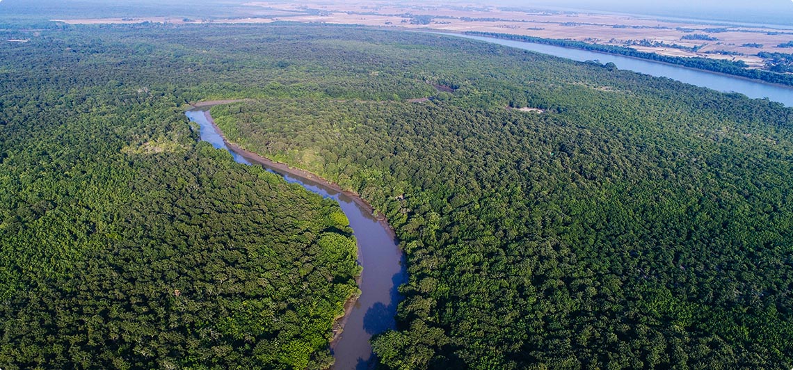 bhitarkanika national park odisha