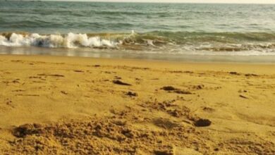 chandrabhaga-beach-odisha