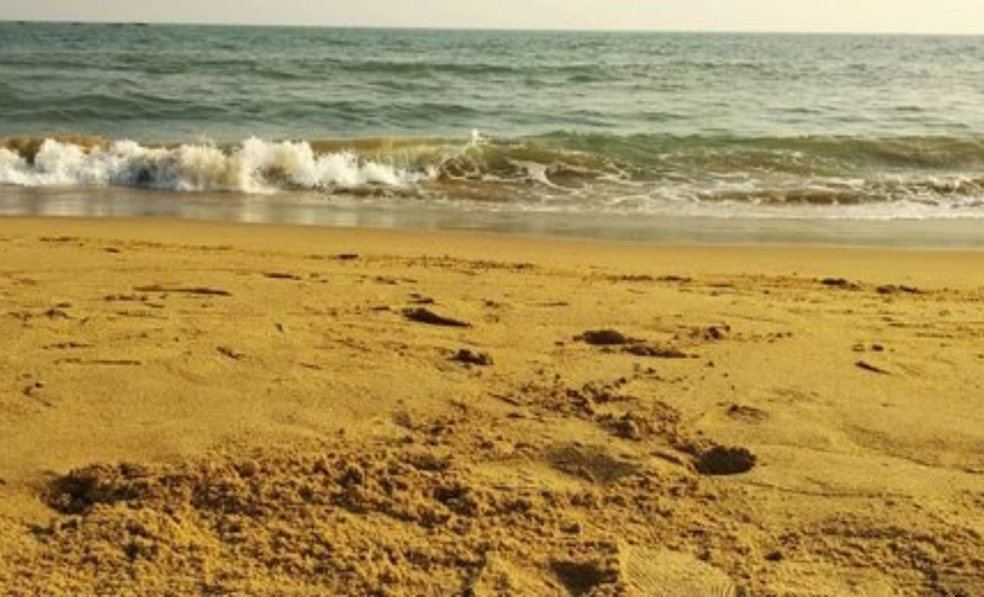 chandrabhaga-beach-odisha