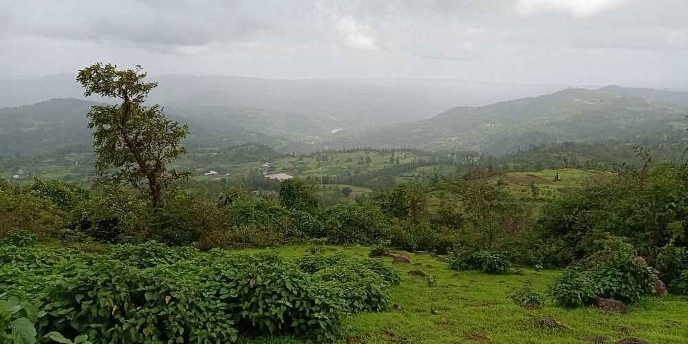 Wilson Hill Valsad