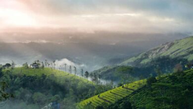 kerala
