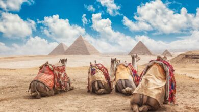 Egypt Cairo - Giza