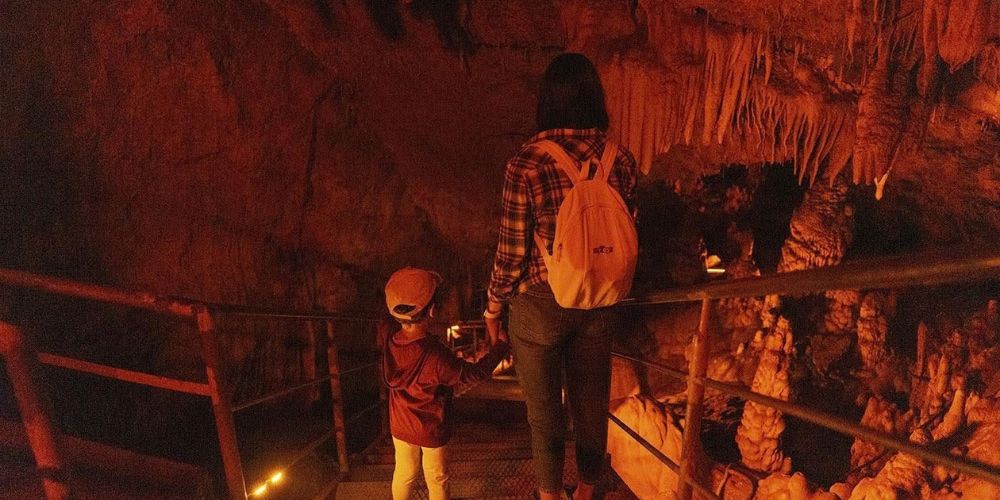 Mole Creek Cave in Tasmania, with visitors exploring a limestone cavern surrounded by illuminated stalactites and rock formations
